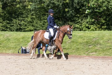 Bild 560 - Pony Akademie Turnier